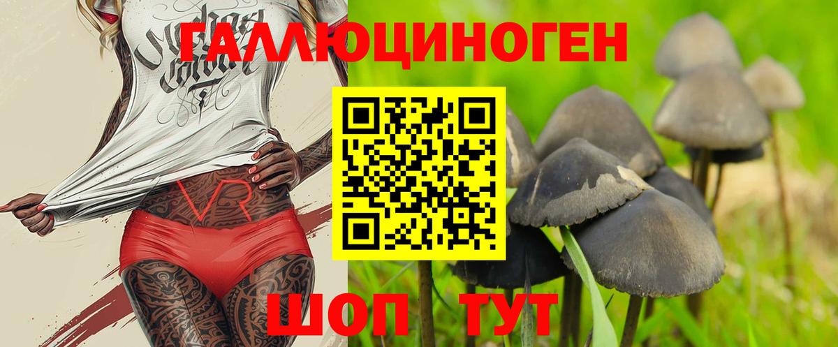 Псилоцибиновые грибы MAGIC MUSHROOMS Нижнекамск
